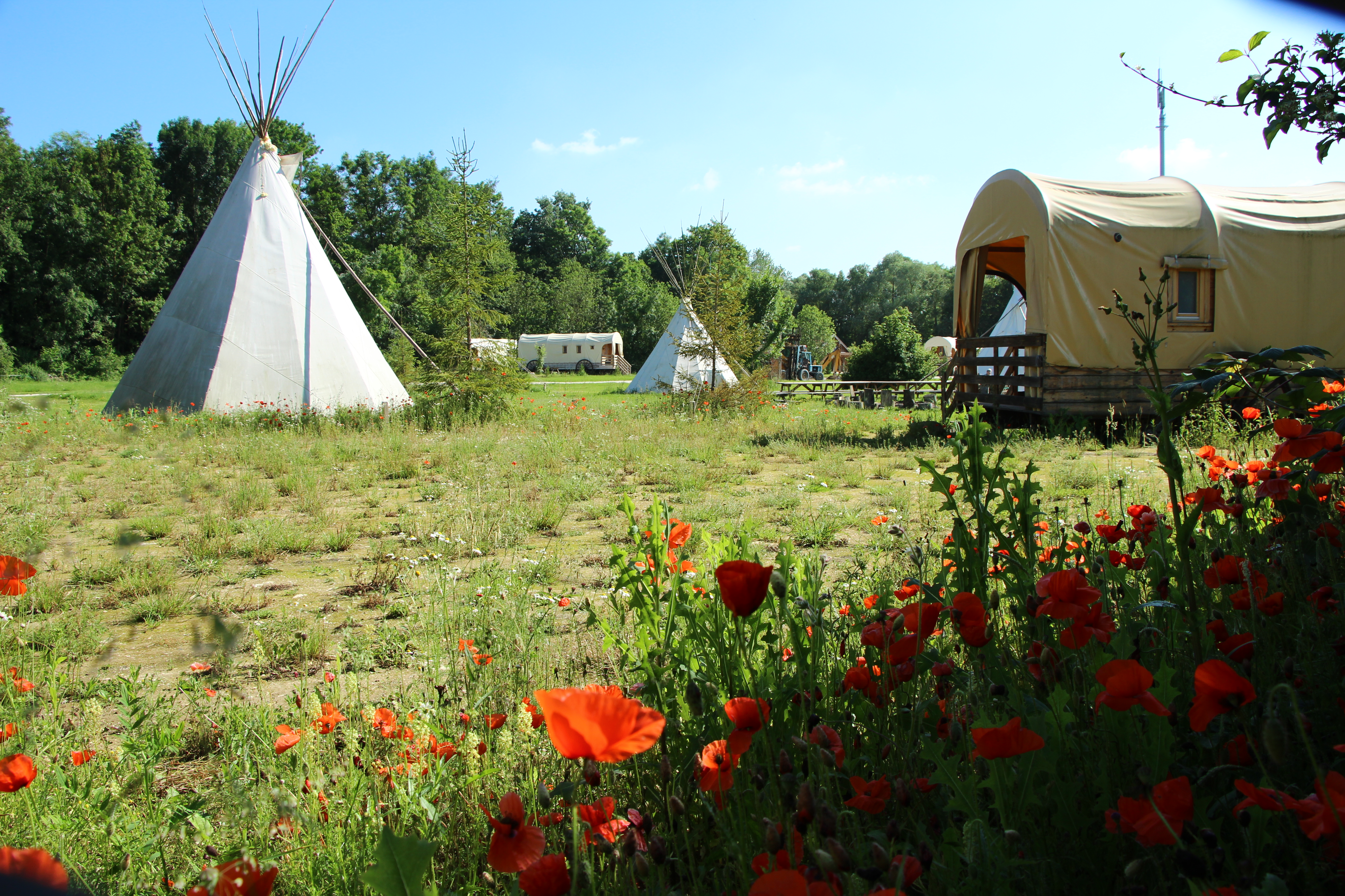 Extérieur roulotte / tipi